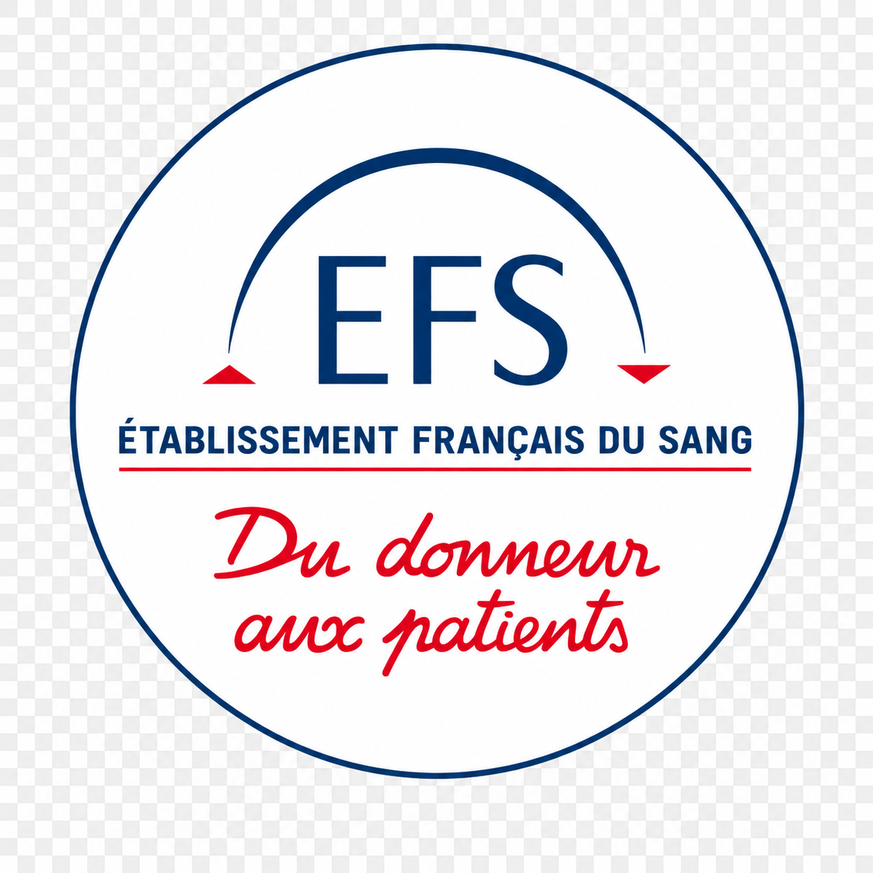 Logo EFS